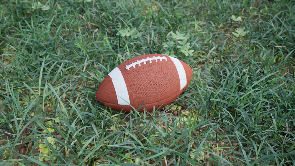 a football laying on the ground in the grass