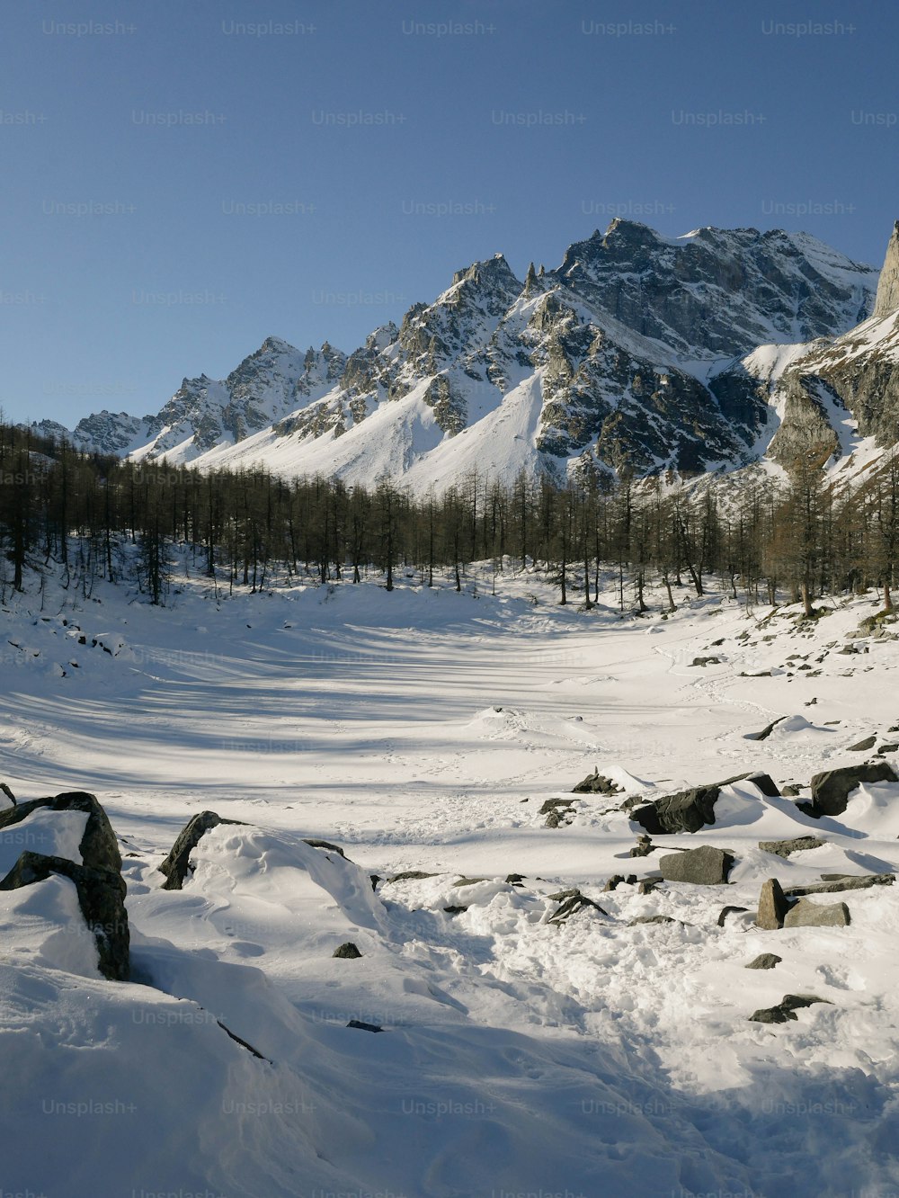 Un paisaje nevado con una montaña al fondo