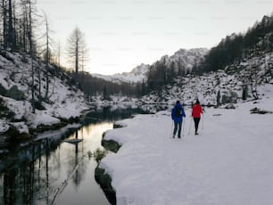 two people cross country skiing in the snow