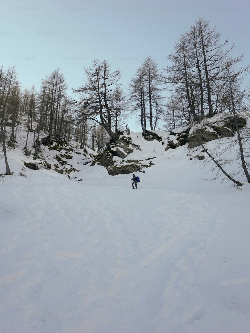 雪に覆われた斜面をスキーで下る男性
