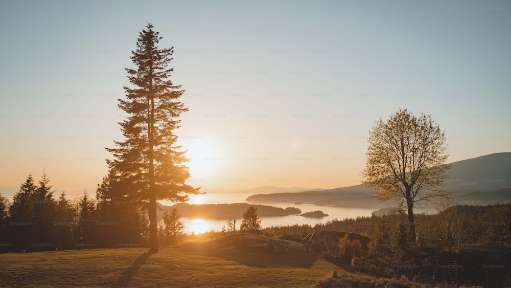 Le soleil se couche sur un champ avec des arbres