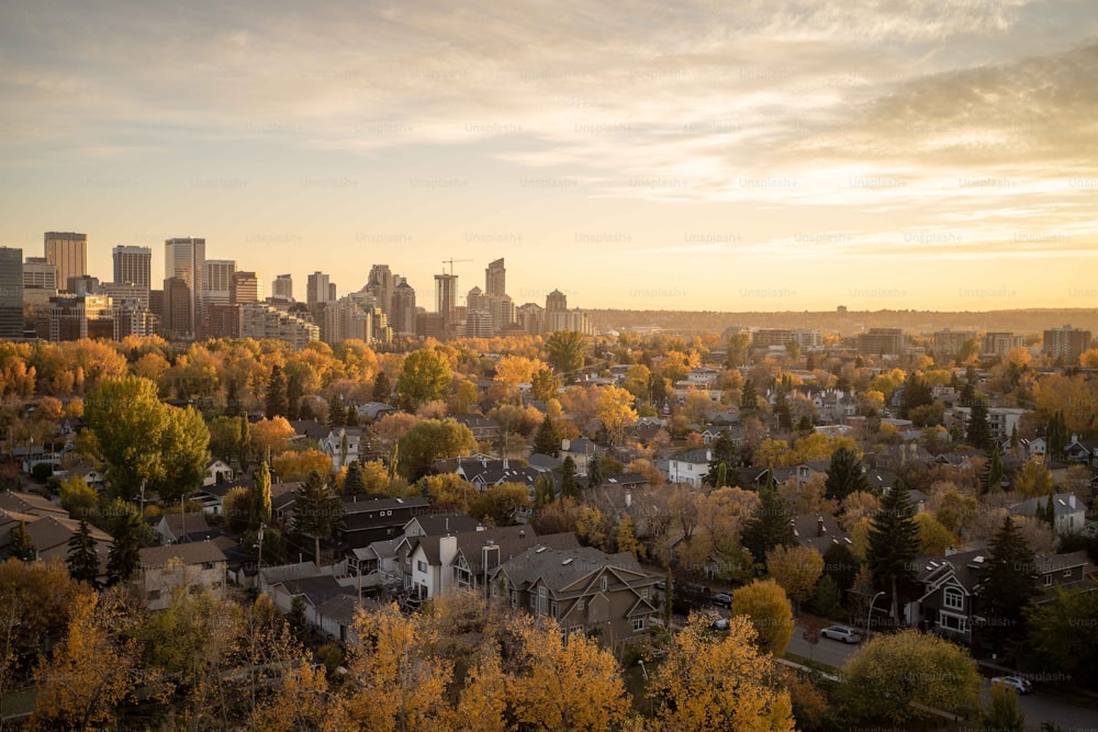 a view of a city with lots of trees in the foreground