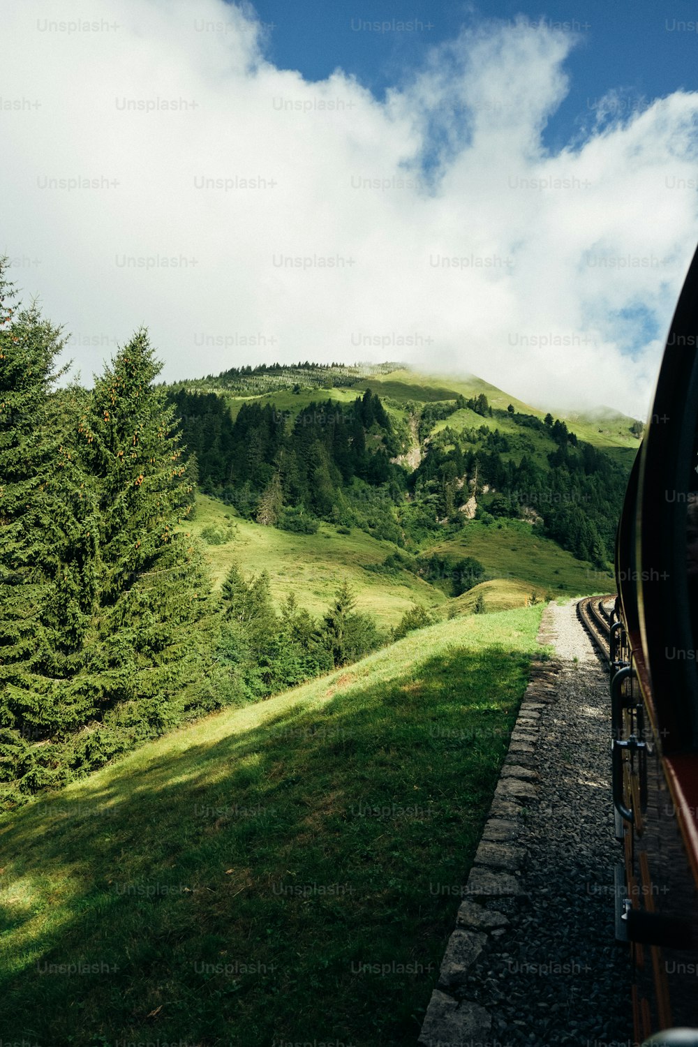 Un tren que viaja a través de un exuberante campo verde