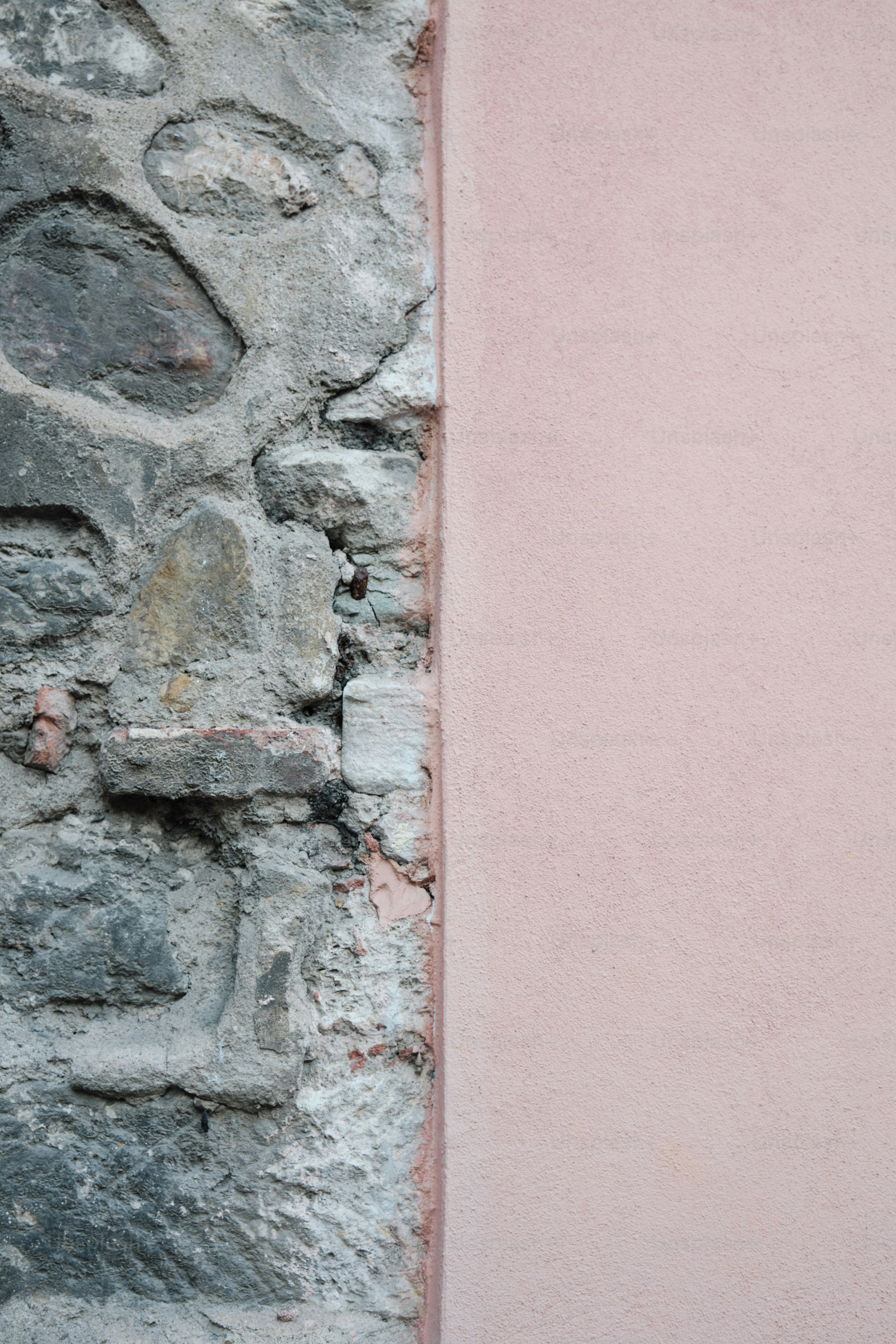 A cat sitting on a ledge next to a wall photo – Texture Image on Unsplash
