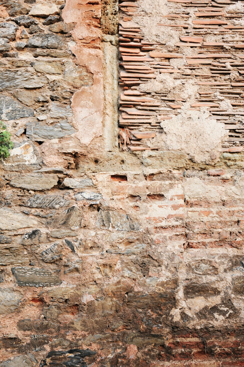 a bird is perched on a brick wall