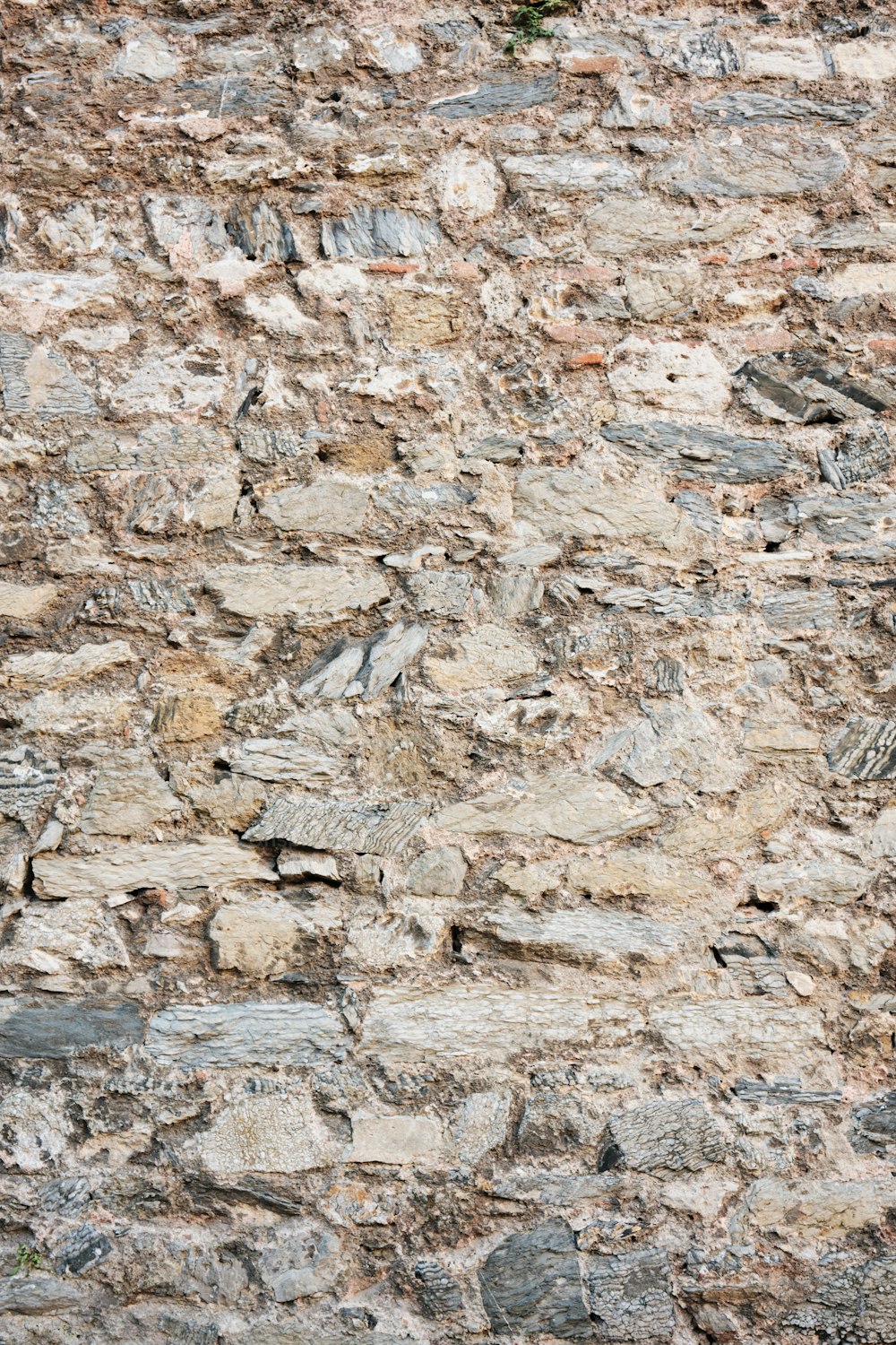 Un uccello è appollaiato su un muro di pietra