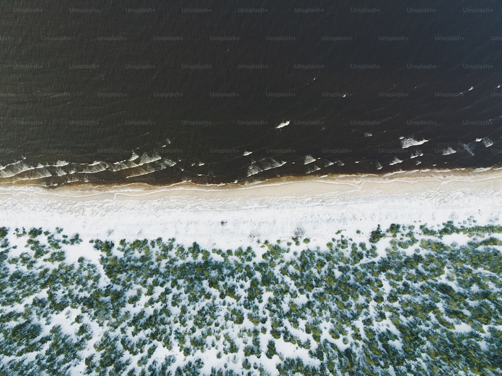 uma vista aérea de uma praia e oceano