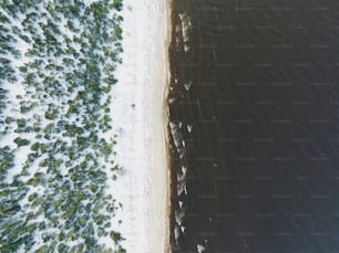 Luftaufnahme eines Strandes und eines Gewässers