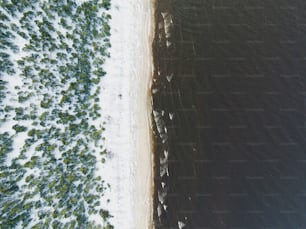 an aerial view of a beach and a body of water