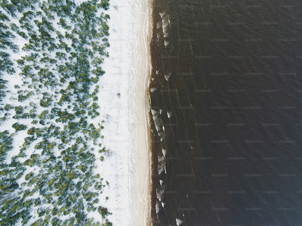 an aerial view of a beach and a body of water