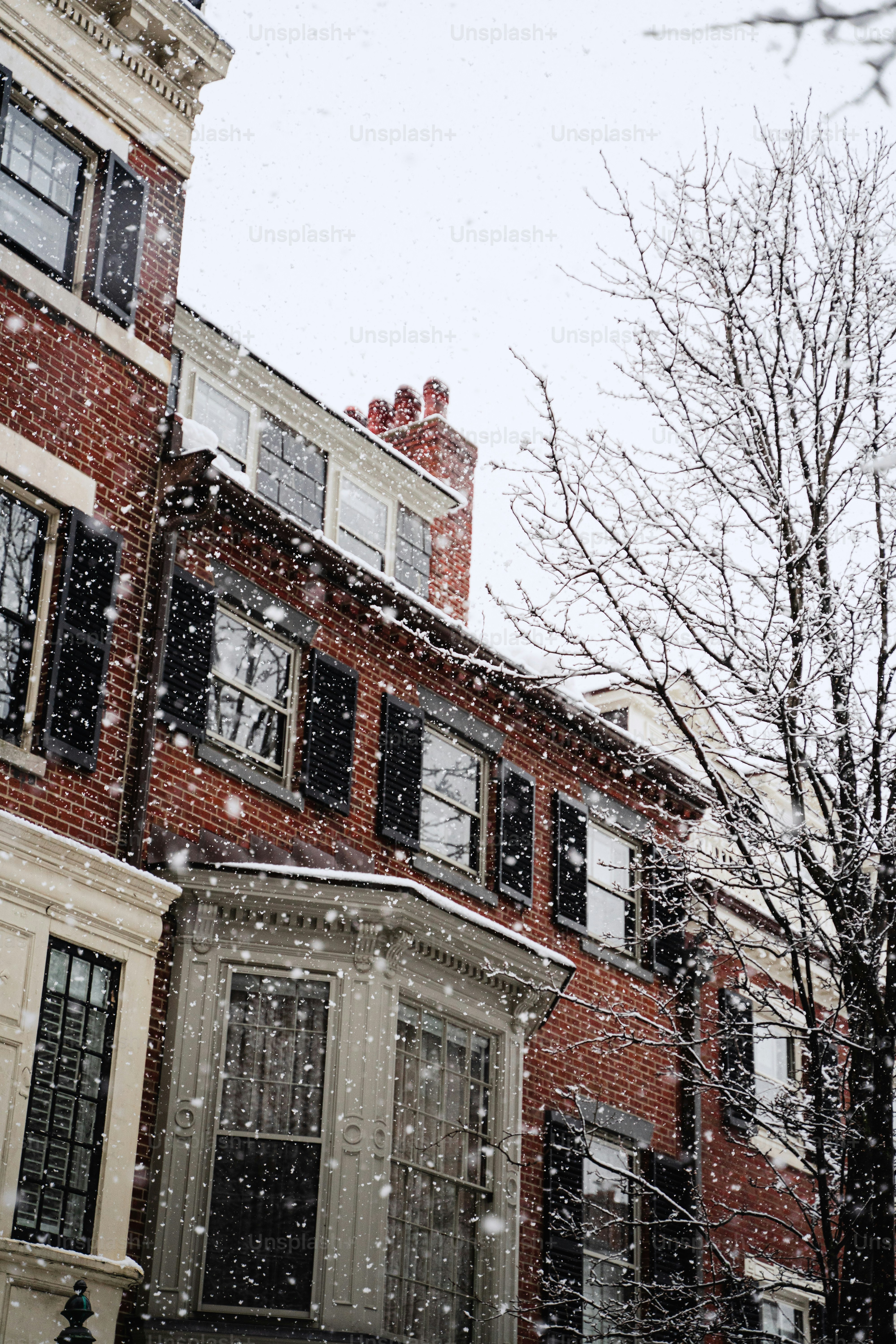 une rue enneigée avec un bâtiment et un arbre