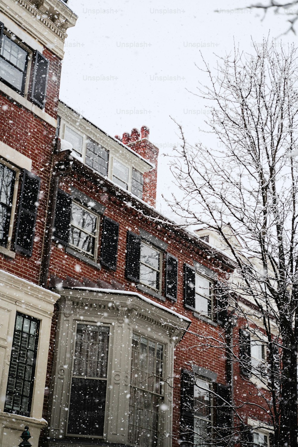 Una calle cubierta de nieve con un edificio y un árbol