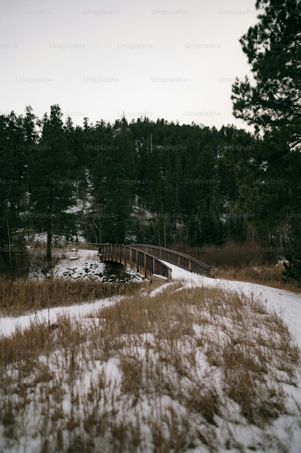 a snow covered field with a bridge in the background
