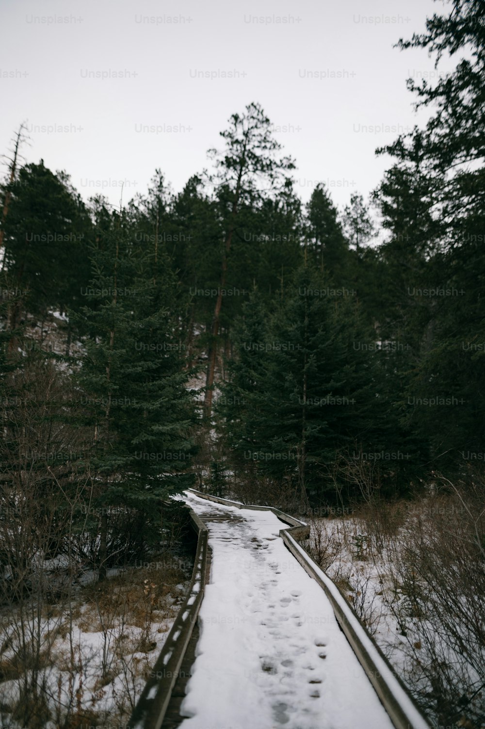 a snow covered path in the middle of a forest