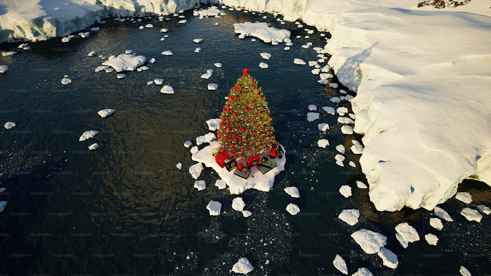 a large christmas tree sitting in the middle of a river