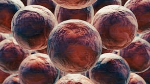 um close up de um monte de células sanguíneas