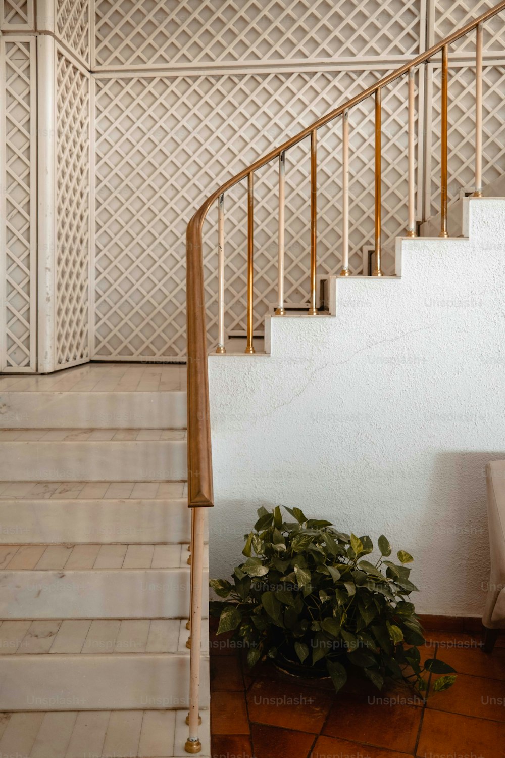 a potted plant sitting on a tiled floor next to a stair case