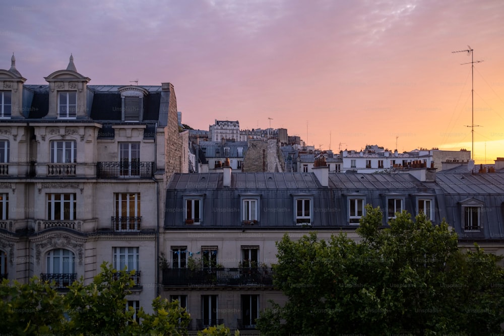 30k+ Paris Street Pictures  Download Free Images on Unsplash