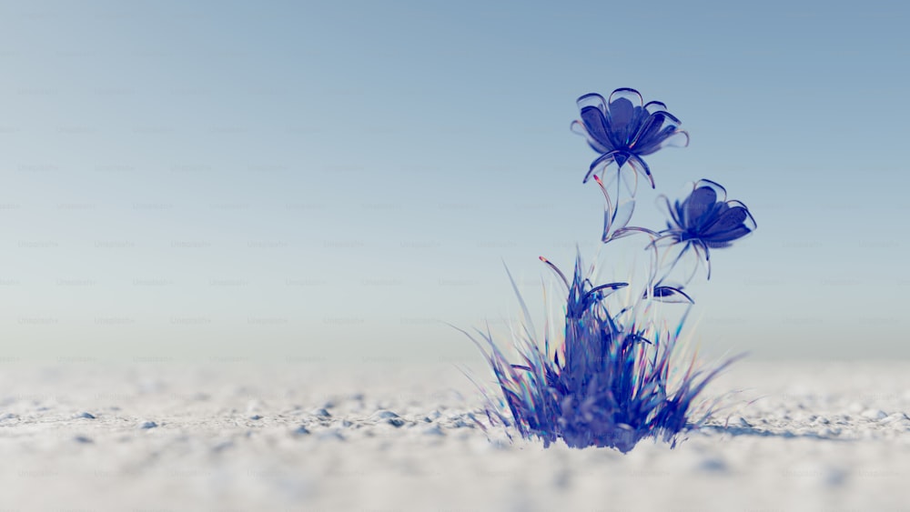 a group of blue flowers sitting on top of a snow covered ground