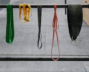 a row of different colored leashes hanging from a metal rail