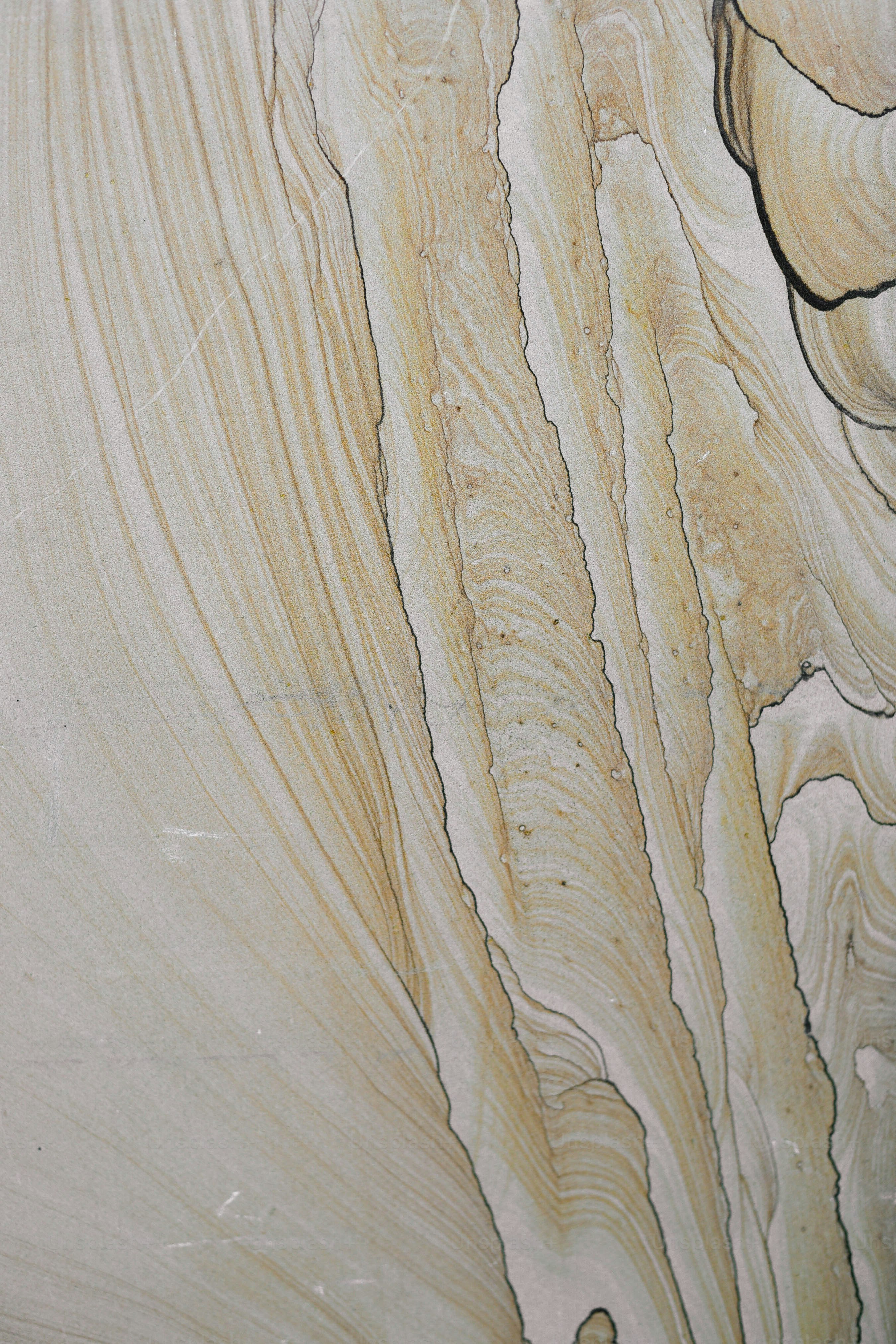 Vue rapprochée d’une surface en bois