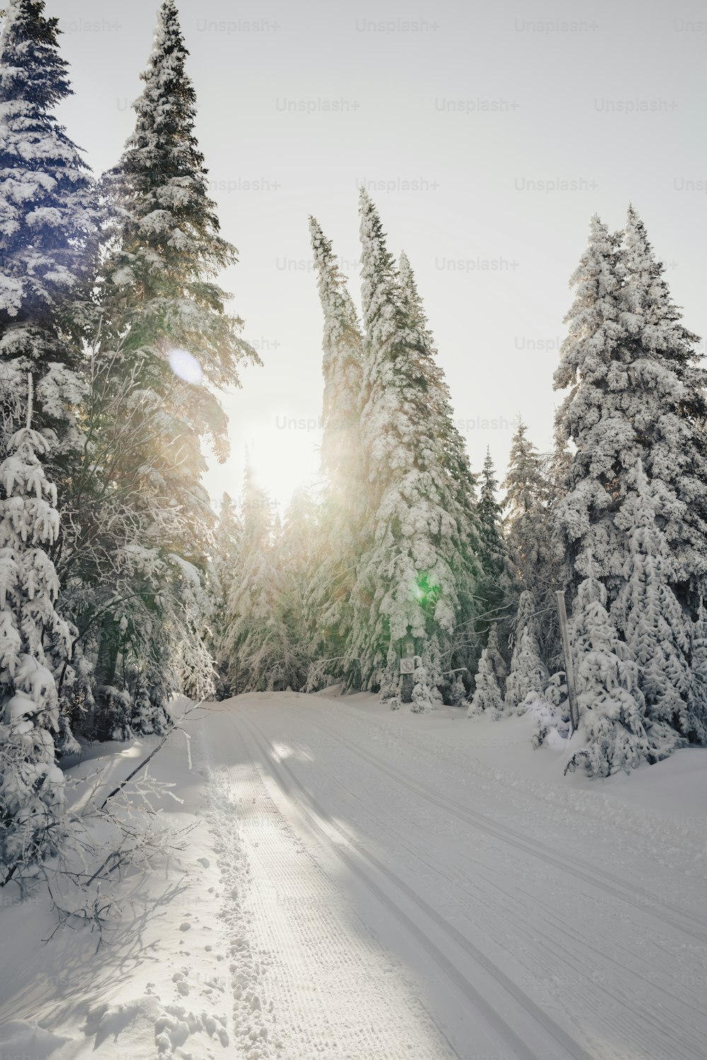 a person riding skis on a snowy surface