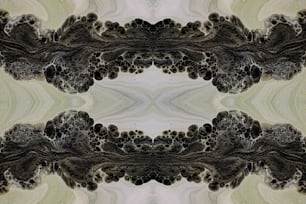 a picture of a mirror image with a black and white design
