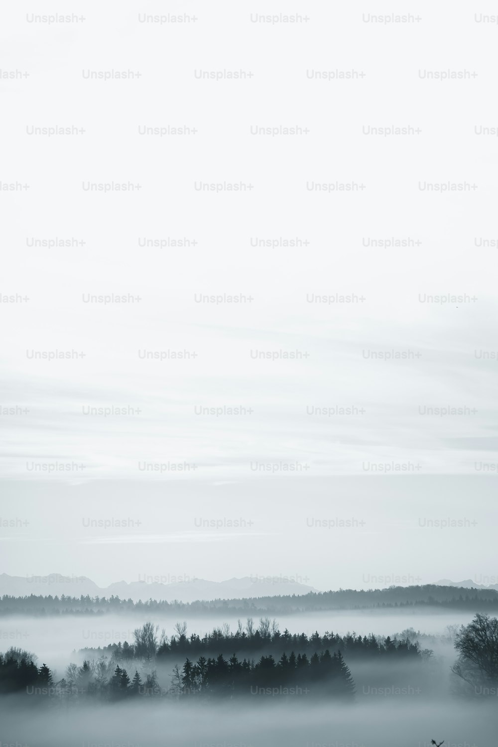 Ein Schwarz-Weiß-Foto einer nebligen Landschaft