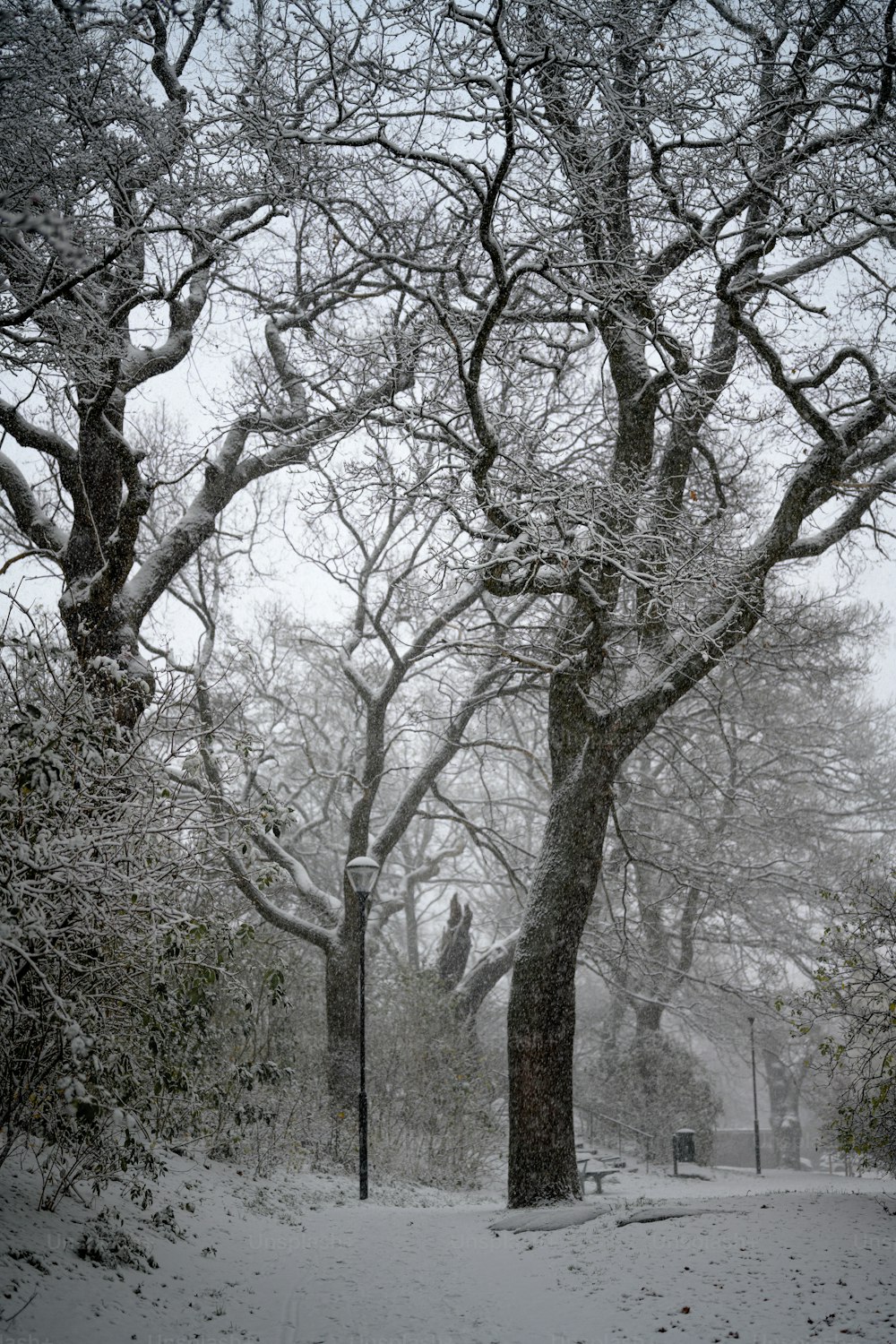 ein schneebedeckter Park mit Bäumen und Bänken