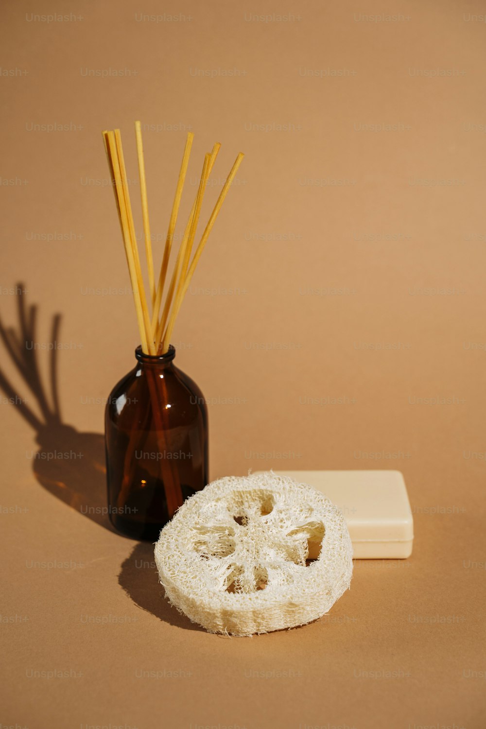 a bottle of reeds next to a sand dollar on a table