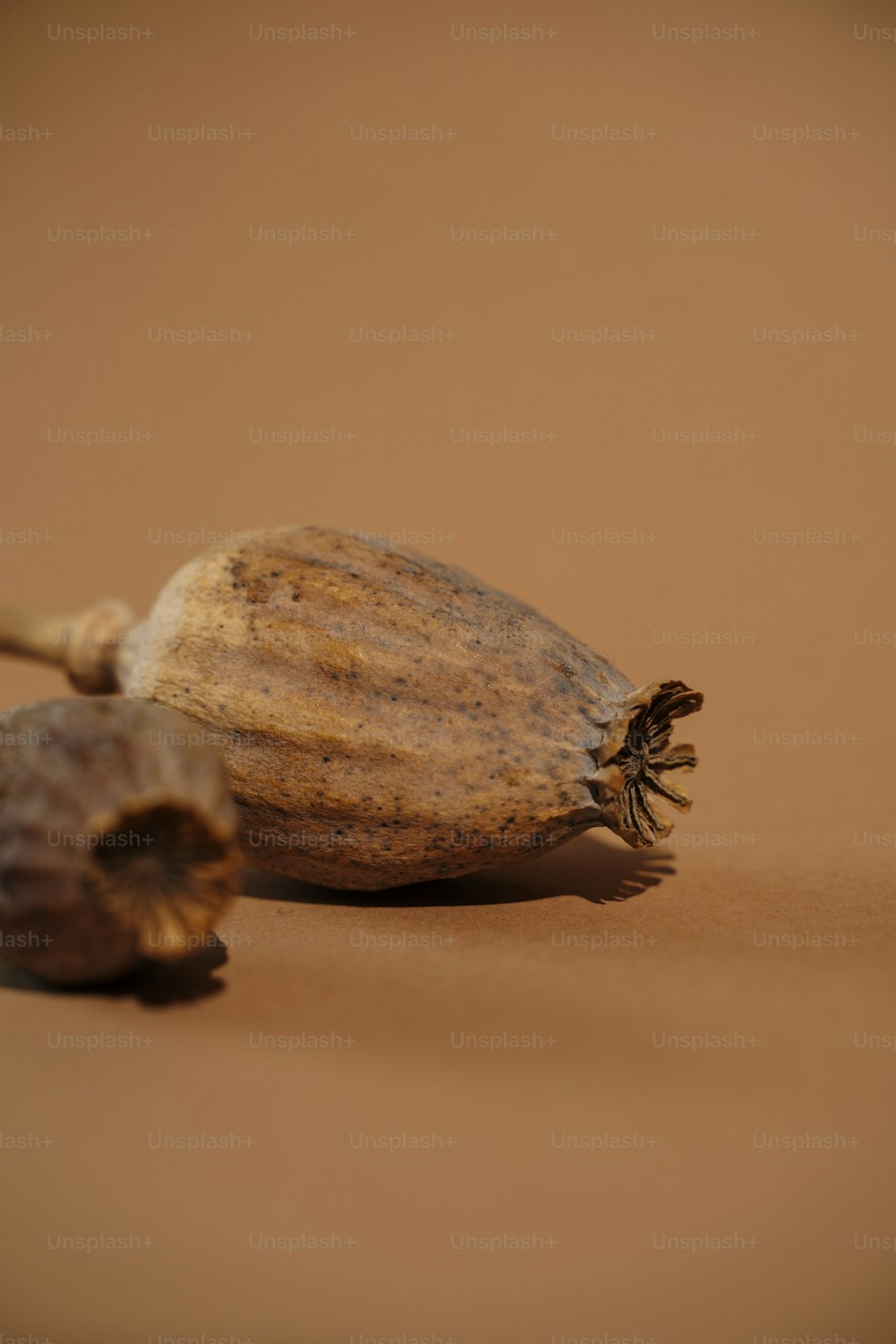 a couple of pieces of fruit sitting on top of a table