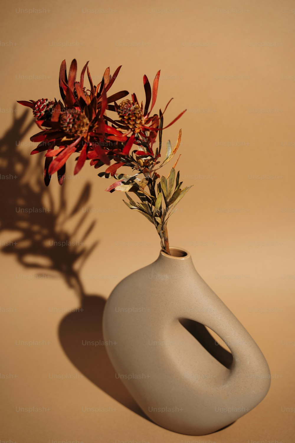 a white vase with some flowers in it