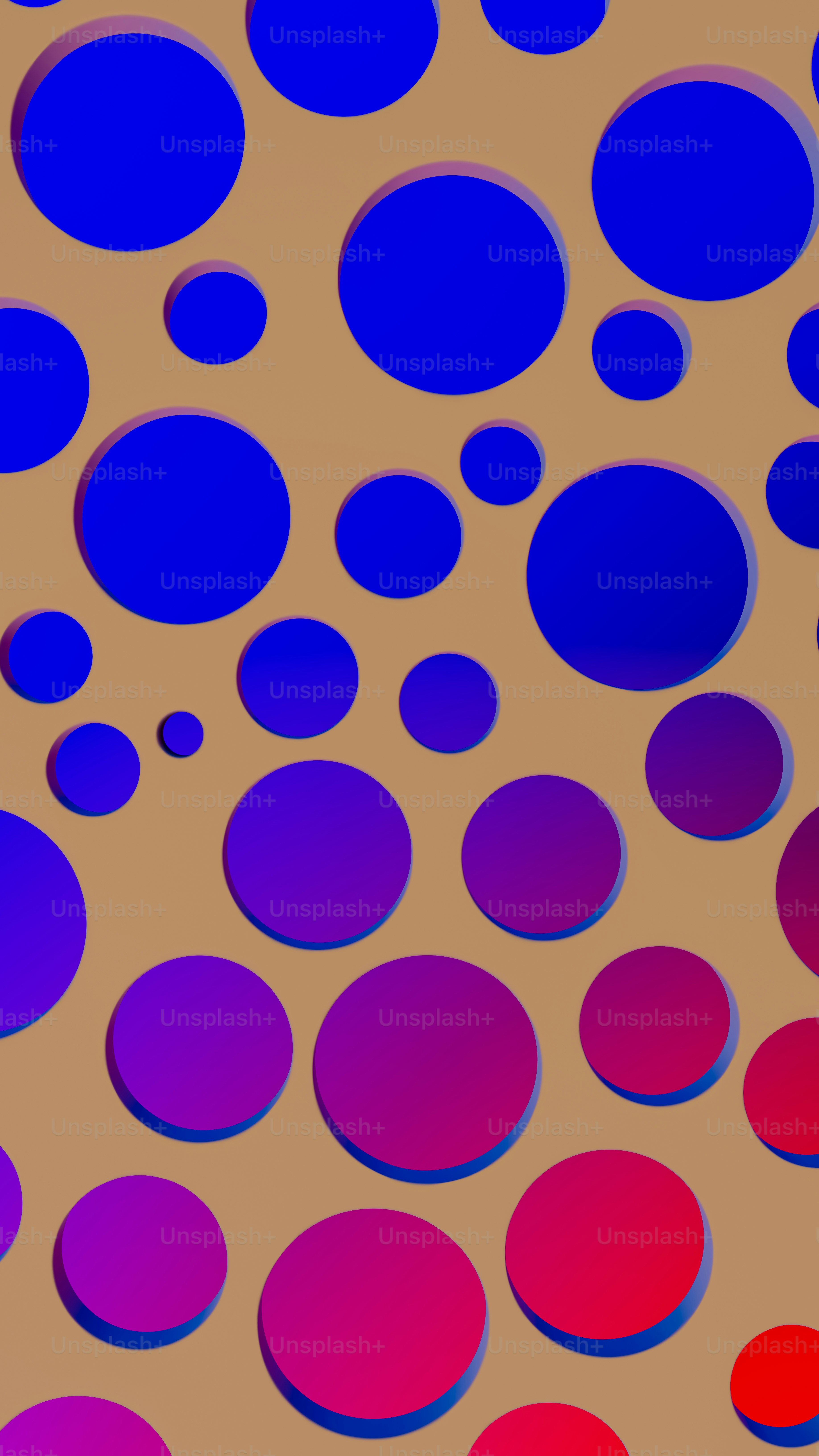 a group of circles that are on a wall