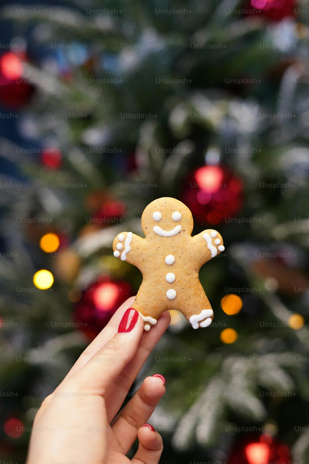 Una persona sosteniendo un pequeño jengibre frente a un árbol de Navidad