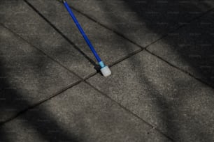 une brosse à dents bleue et blanche posée sur le sol