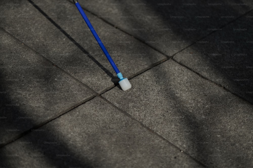 a blue and white toothbrush laying on the ground