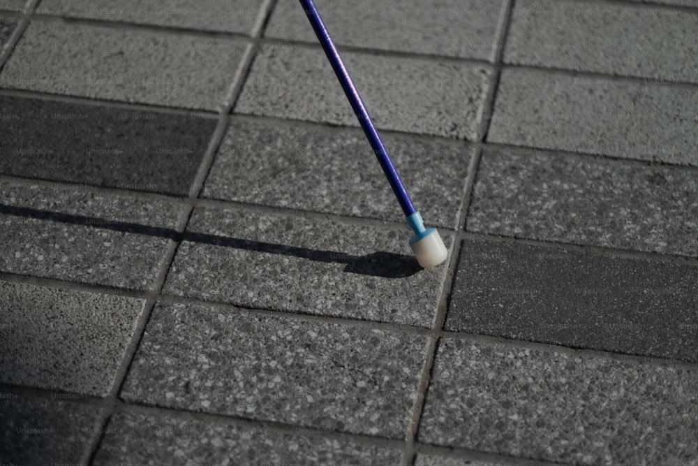 a blue and white toothbrush laying on the ground