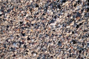um close up de um monte de rochas no chão