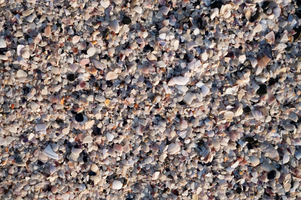 um close up de um monte de rochas no chão