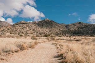 a dirt road in the middle of a dry grass field