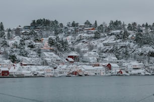 Una ciudad cubierta de nieve se encuentra al borde de un cuerpo de agua