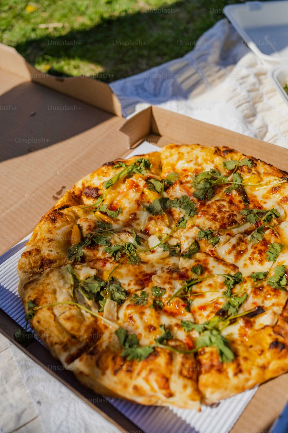 uma pizza sentada em cima de uma caixa de papelão