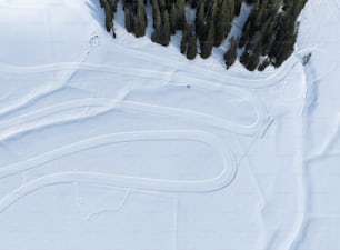 uma vista aérea de uma pista de esqui com árvores ao fundo