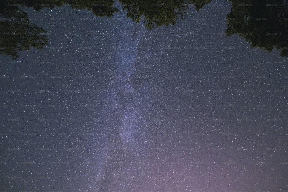 Blick auf den Nachthimmel mit der Milch im Hintergrund
