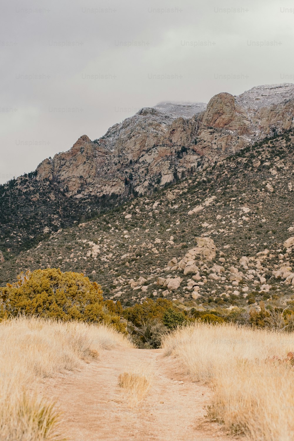 a dirt path with a mountain in the background