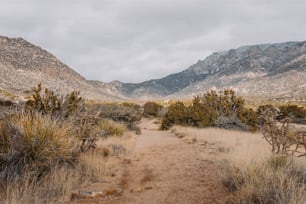 a dirt path in the middle of a mountain range