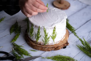 a person is decorating a cake with white frosting