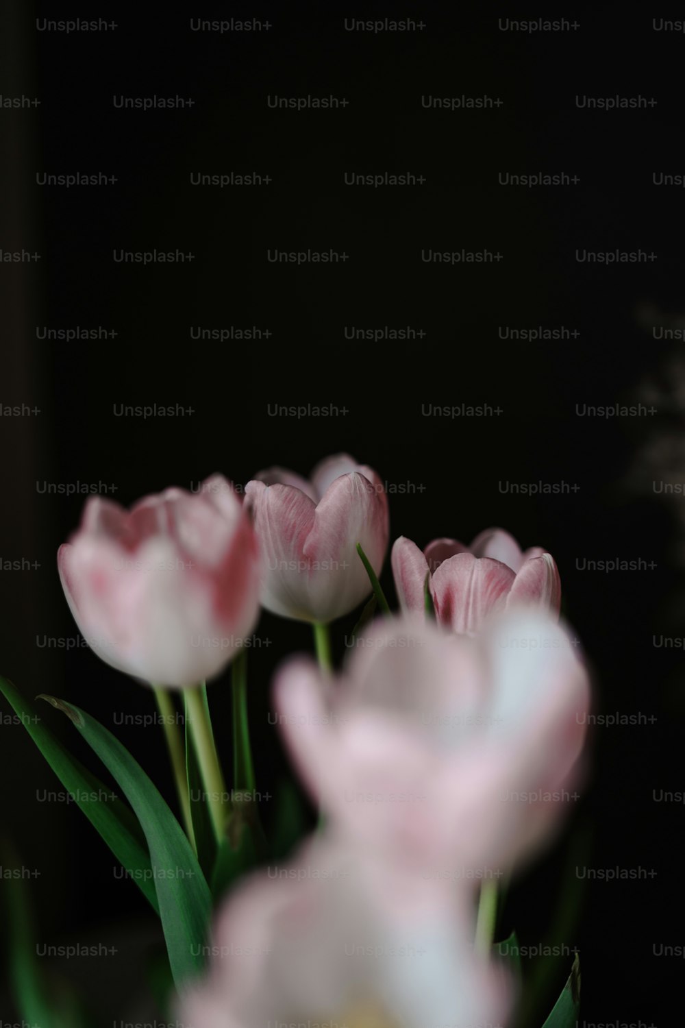 un vase rempli de fleurs roses et blanches