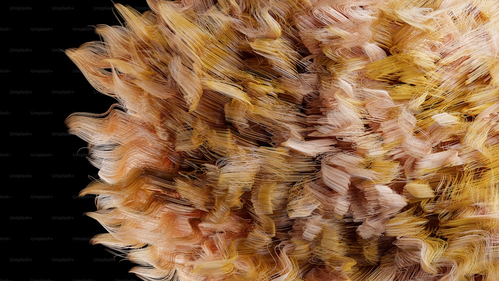 a close up of a bunch of hair on a black background