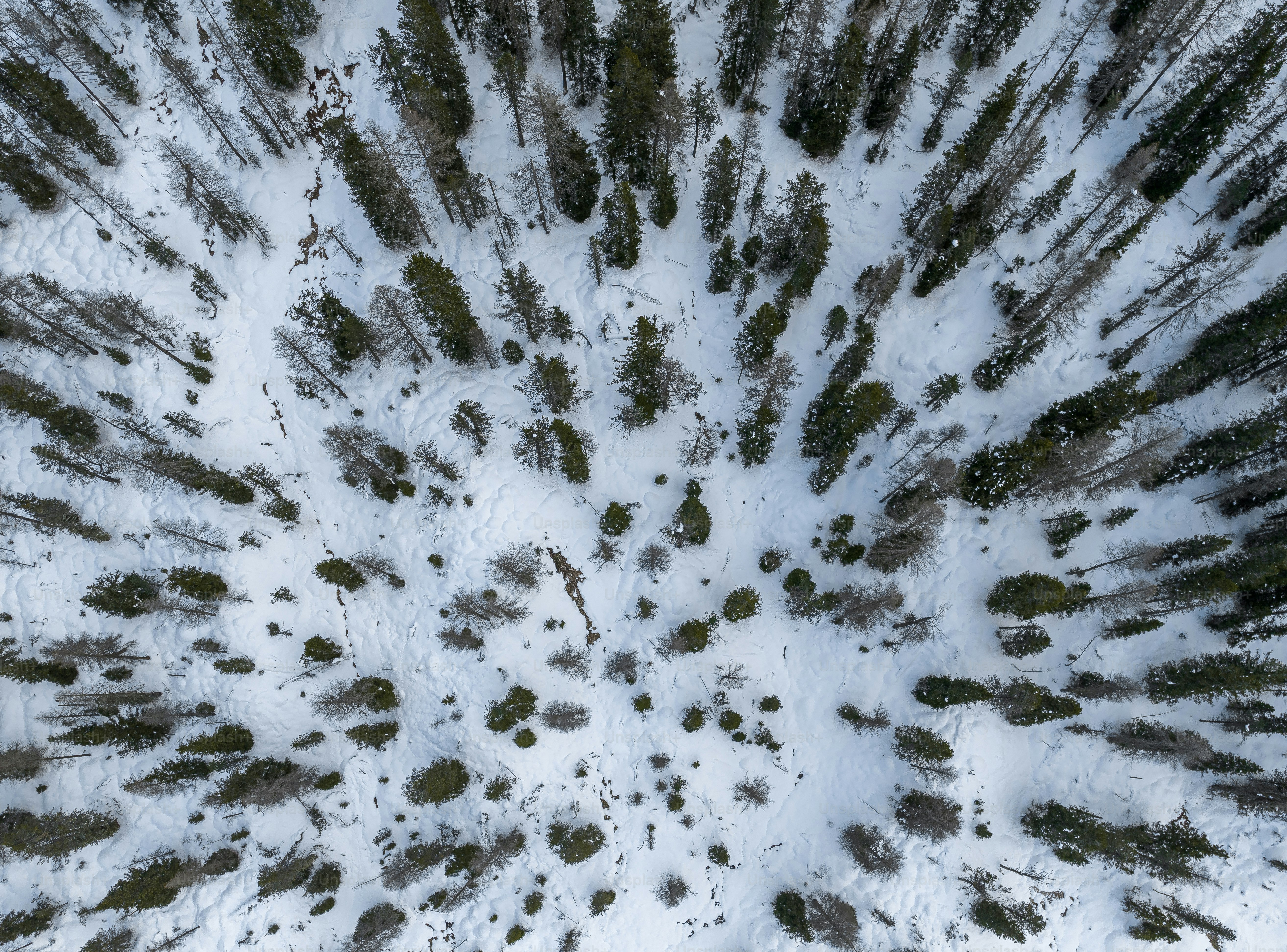 An aerial view of a snow covered forest photo – Forest Image on Unsplash